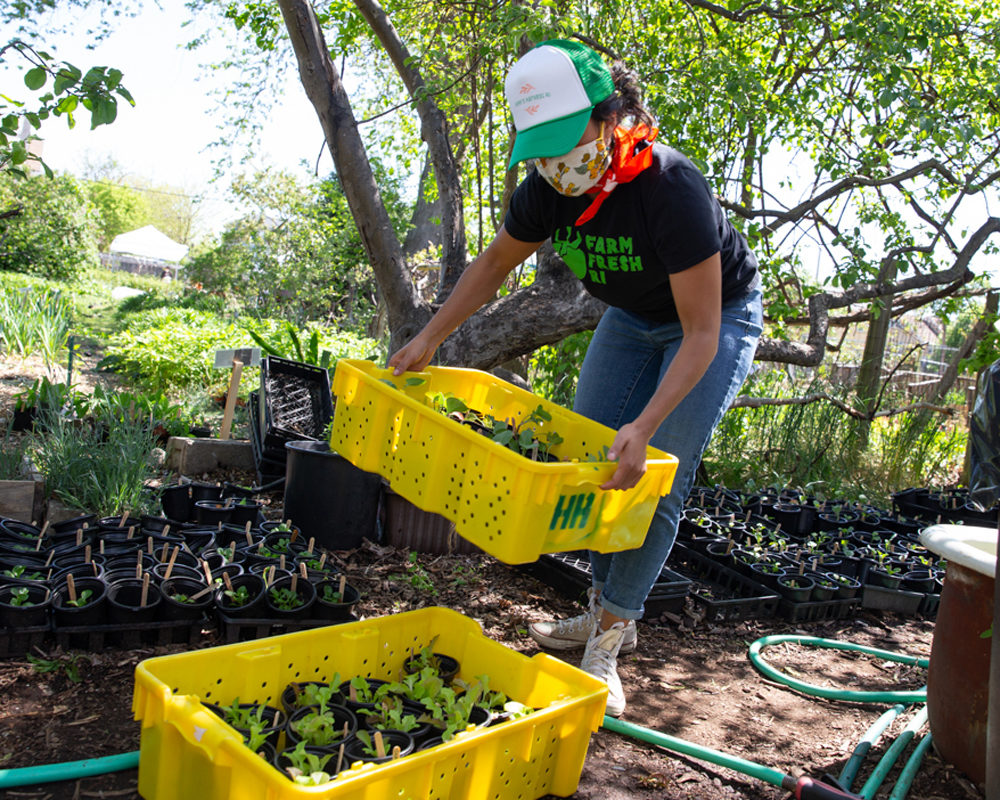 Planting gardens